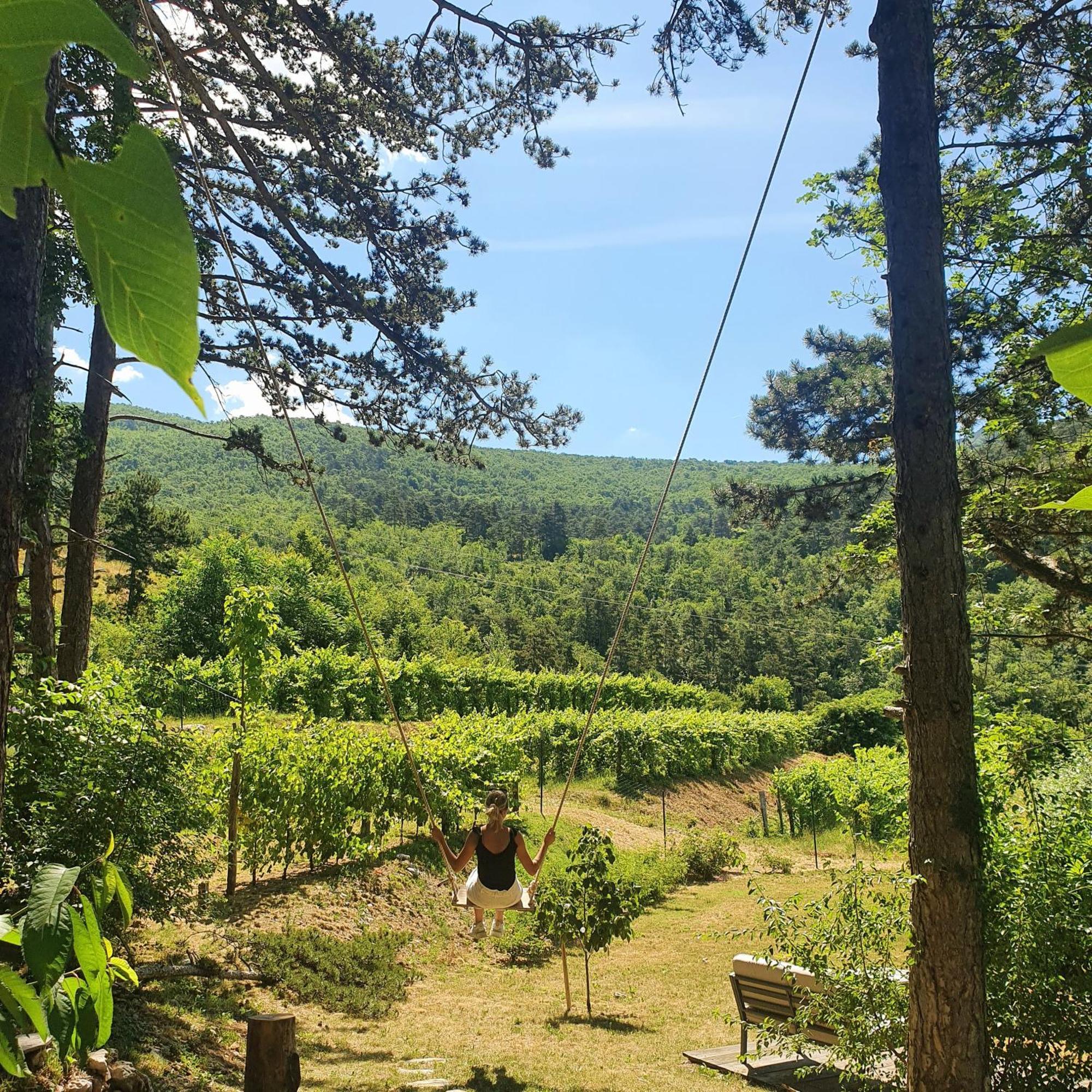 Theodosius Forest Village - Glamping In Vipava Valley Eksteriør billede