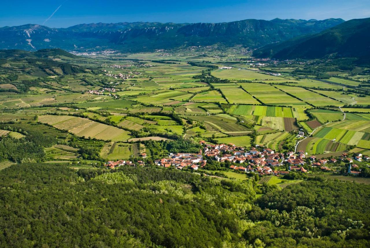 Theodosius Forest Village - Glamping In Vipava Valley Eksteriør billede