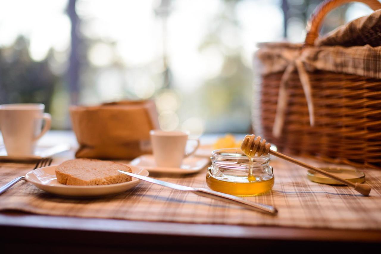 Theodosius Forest Village - Glamping In Vipava Valley Eksteriør billede